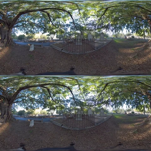 360 VR Graveyard Stock Footage 116464997