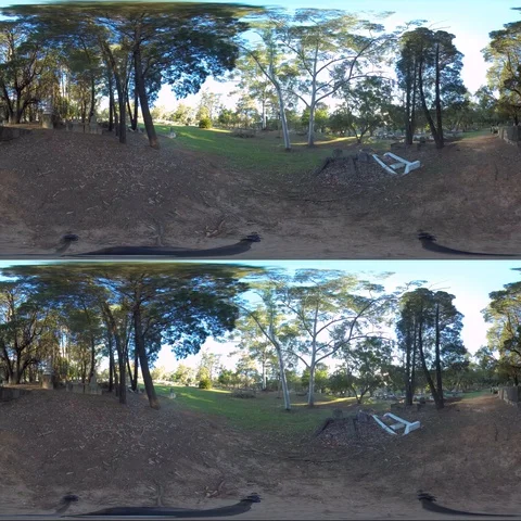 360 VR Graveyard Stock Footage 116465017