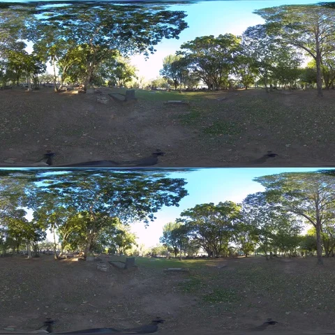 360 VR Graveyard Stock Footage 116466060