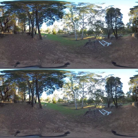 360 VR Graveyard Stock Footage 116467368