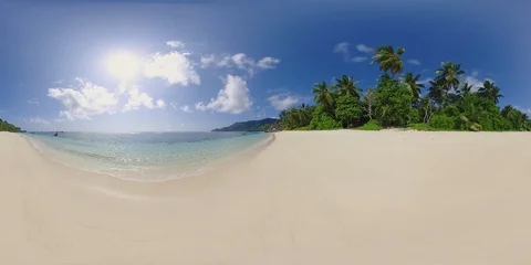 360 VR landscape - 8K long sand beach with tropical palm trees Vidéo 88549993