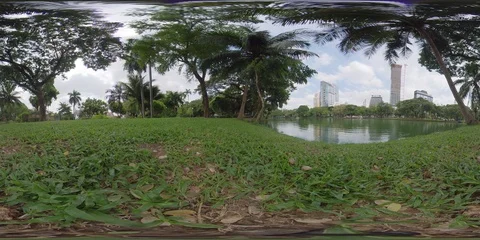 360 VR, Low angle Lumpini park Bangkok, near pond, peaceful day Stock Footage 118589557