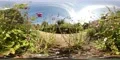 360 VR Low angle middle between mixed flowers flying butterfly insects 4k or 4k+ Resolution