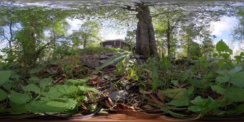 360 VR Low Angle View O  Hill With White Hen, Slow Pan Stock Footage 160685648
