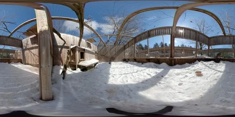 360 VR Lynx lying down in enclosure Stock Footage 112349591