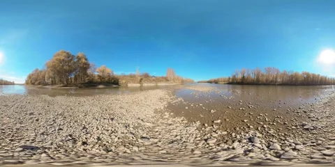 360 VR Mountain river bank full of young birch trees and grass and leaves on the Stock Footage 287985149