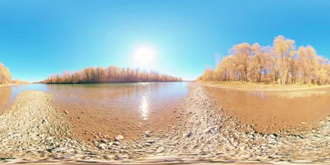 360 VR Mountain river bank full of young birch trees and grass and leaves on the Stock Footage 287985642