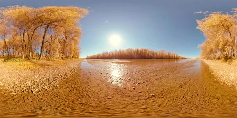 360 VR Mountain river bank full of young birch trees and grass and leaves on the Stock Footage 287985778