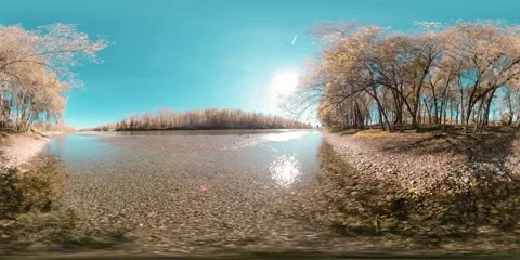360 VR Mountain river bank full of young birch trees and grass and leaves on the Stock Footage 292777408