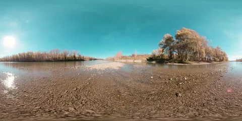 360 VR Mountain river bank full of young birch trees and grass and leaves on the Stock Footage 292808762