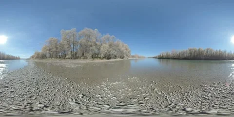360 VR Mountain river bank full of young birch trees and grass and leaves on the Stock Footage 311526445