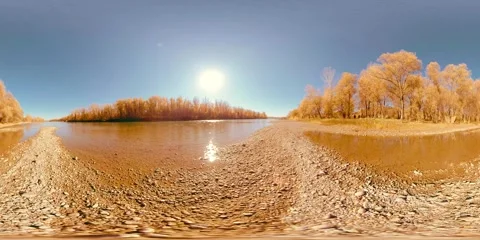 360 VR Mountain river bank full of young birch trees and grass and leaves on the Stock Footage 311526850
