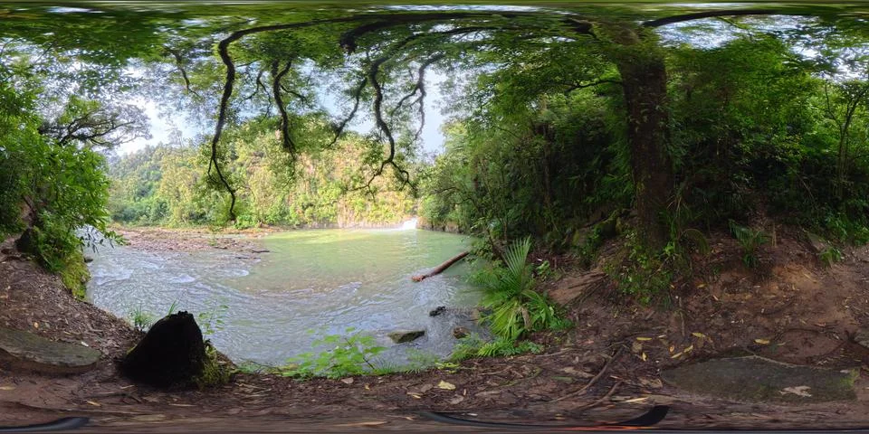 360 VR Native Bush Stream Auckland New Zealand Equirectangular Panorama 스톡 사진