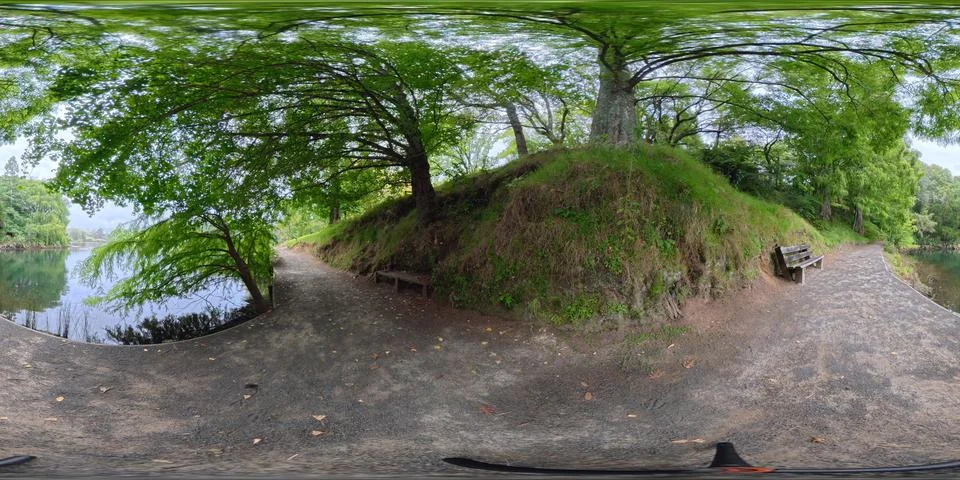 360 VR Panorama Large Tree and Waterfront Park New Zealand Stock Photos