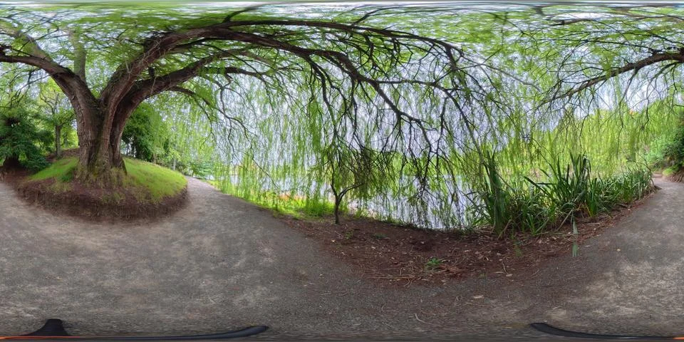 360 VR Panorama Tree-Lined Path and Garden New Zealand Stock Photos