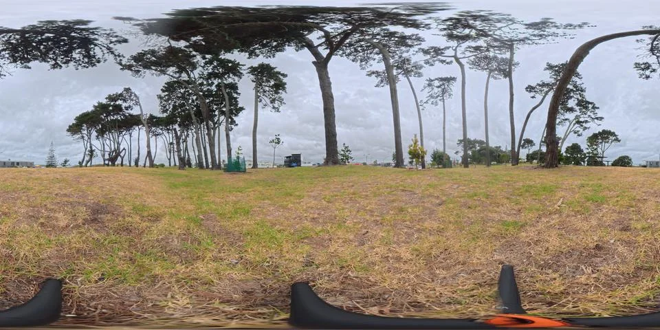 360 VR Panoramic Native Trees Landscape with Open Grassland, New Zealand Stock Photos