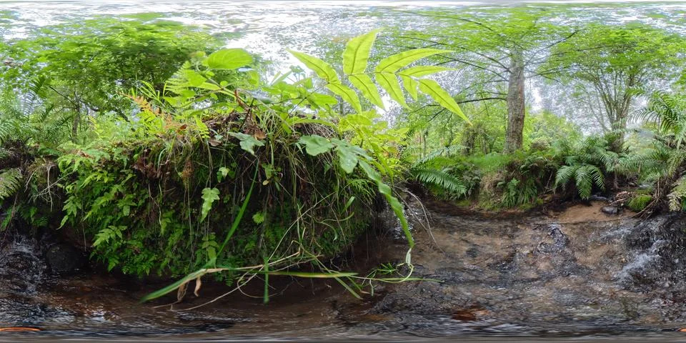 360 VR Panoramic View of Waterfall and Stream in New Zealand Forest Foto stock