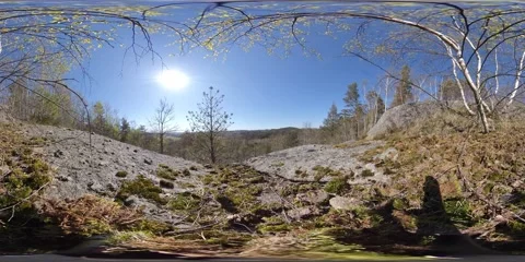 360 VR Rocky Hill with Trees,  Time Lapse View Stock Footage 132445583