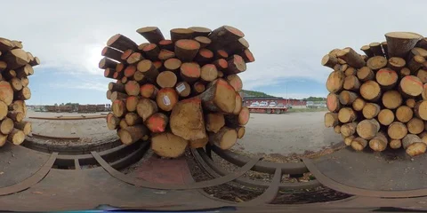360 VR shot between two fully loaded train carriage with logs for transportation Stock Footage 111340660