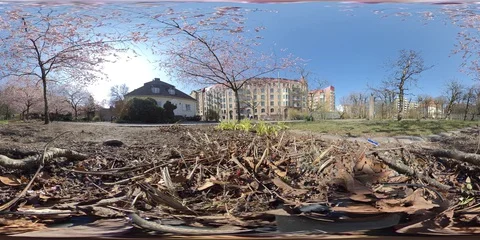360 VR Time Lapse Cherry Blossom, People Taking Photos under Sakura Trees Stock Footage 129490593
