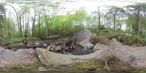 360 VR Time Lapse Garbage Dumped In Water Stream In Forest Stock Footage 133227121
