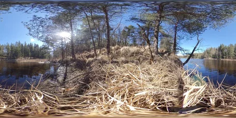 360 VR Time Lapse Lake in Forest Sunny Day Stock Footage 129015607