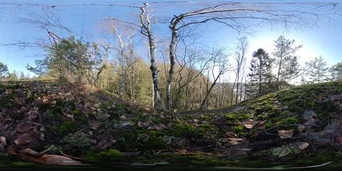 360 VR Time lapse mossy hill, Low shot, Sunny day and blue sky Stock Footage 124302502