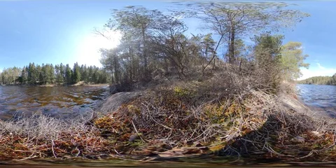 360 VR Time Lapse Nature Landscape Scene, Forest Lake Stock Footage 129014377