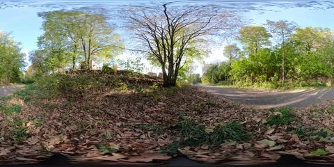 360 VR Timelapse of footpath lined with trees on beautiful sunny autumn day Stock Footage 95370781
