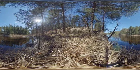 360 VR Tranquil Lake in Forest on a Hike Trail Stock Footage 129490849