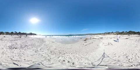 360 VR Video Carmel Beach, California. People and dog running at the beach. Video stock 144954970