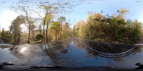 360 VR Video: Driving car on a forest road at sunset. Stock Footage 118764166