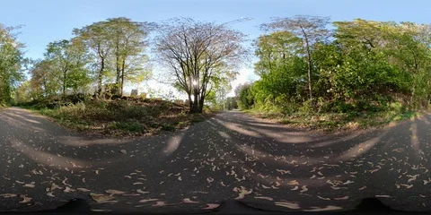 360 VR Video of footpath lined with trees on beautiful sunny autumn day Stock Footage 95370668