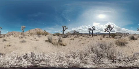 360 VR video of Joshua Tree National Park Landscape - 1 Stock Footage 87184119