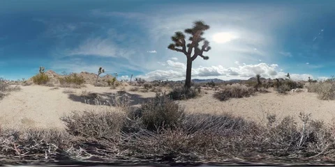 360 VR video of Joshua Tree National Park Landscape - 2 Stock Footage 87184947