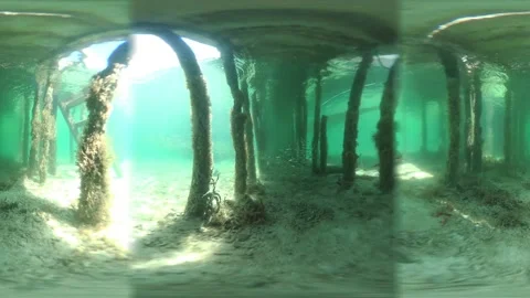 360 VR Video of Topical Fish Under Pier Sub B V0750083 Stockbeeldmateriaal 158401531