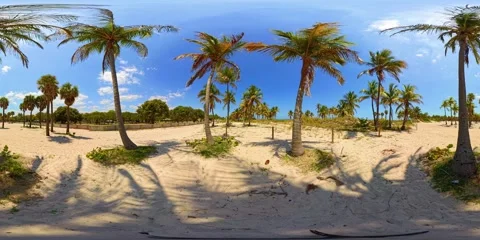 360 VR video tropical beach scene with palms 2025 8k Stock Footage 306905168
