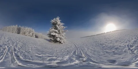 360 VR Video of Winter Ski Slope and Trees Covered in Snow on Sunny Day 스톡 동영상 124980208