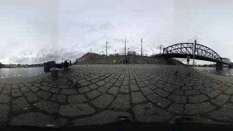 360 VR View at Birds Flying and Swimming in Vltava river, Prague Stock Footage 121626321