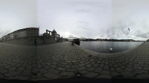 360 VR View at Birds Flying and Swimming in Vltava river, Prague 動画素材 121630861