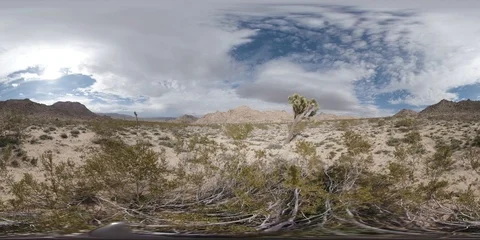 360° VR View Joshua Tree National Park Stock Footage 108509093