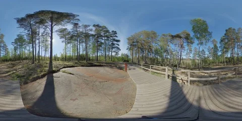 360 VR View of UNESCO Rock Carvings Of Ships at Tanum, Sweden Stock Footage 108492271
