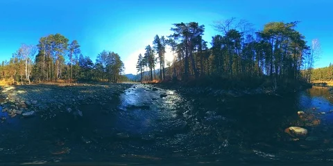 360 VR virtual reality of a wild mountains, pine forest and river flows Stock Footage 94246560
