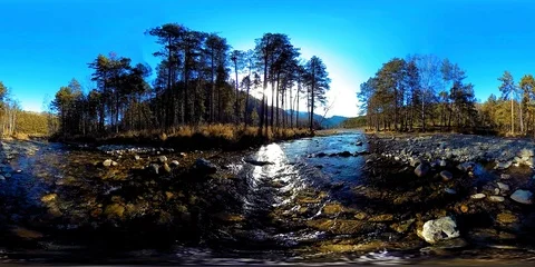 360 VR virtual reality of a wild mountains, pine forest and river flows Stock Footage 94247387