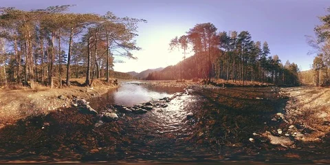 360 VR virtual reality of a wild mountains, pine forest and river flows Stock Footage 94247776