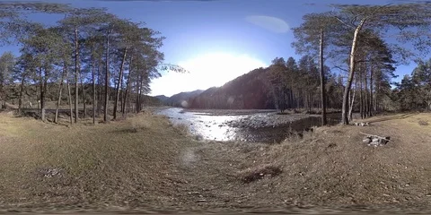 360 VR virtual reality of a wild mountains, pine forest and river flows Stock Footage 94247934