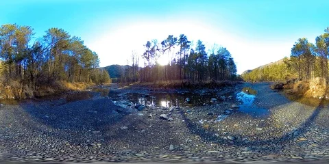 360 VR virtual reality of a wild mountains, pine forest and river flows Stock Footage 94248172
