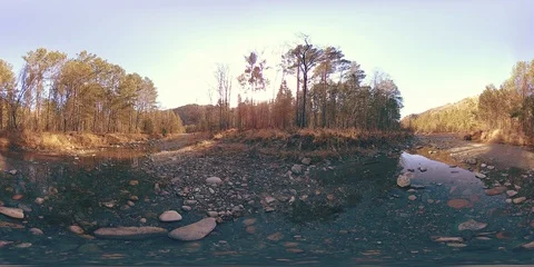 360 VR virtual reality of a wild mountains, pine forest and river flows Stock Footage 94248534