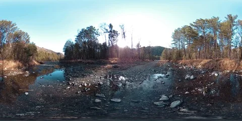 360 VR virtual reality of a wild mountains, pine forest and river flows Stock Footage 94248926
