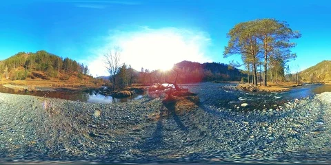 360 VR virtual reality of a wild mountains, pine forest and river flows Stock Footage 94250966